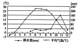 图片_x0020_100006