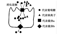 图片_x0020_323329792