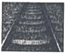 图片_x0020_100006