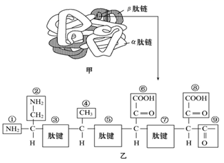 图片_x0020_766465171