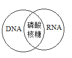 图片_x0020_100004
