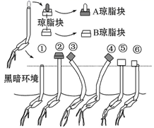 图片_x0020_135906810