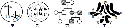 图片_x0020_1831179959