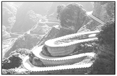 图片_x0020_912810768