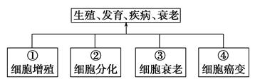 图片_x0020_100024