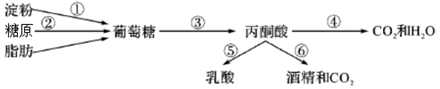 图片_x0020_1841997388