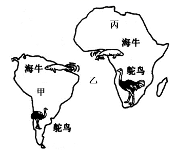 图片_x0020_4328588
