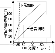 图片_x0020_100002