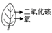图片_x0020_100004
