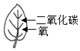 图片_x0020_100005