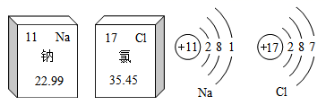 图片_x0020_1660079303