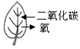 图片_x0020_100006