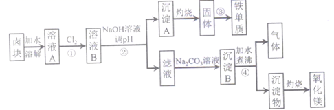 图片_x0020_100010