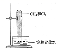 图片_x0020_1613441733