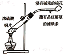 图片_x0020_100023