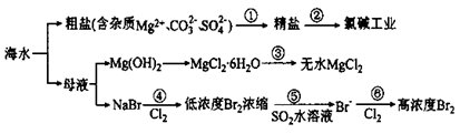 图片_x0020_100012