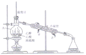 图片_x0020_100011