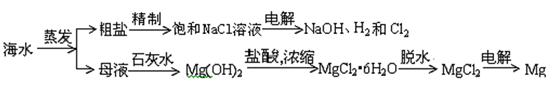 图片_x0020_100030