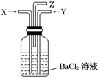图片_x0020_1293876093