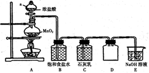 图片_x0020_100018