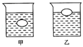 图片_x0020_100012