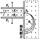 图片_x0020_100002