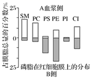 图片_x0020_100005