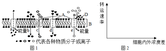 图片_x0020_1642179755