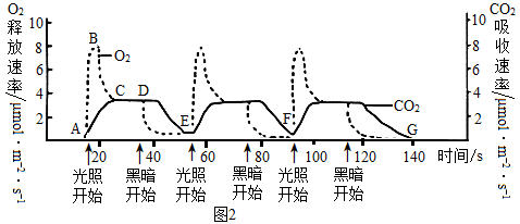 图片_x0020_151811641