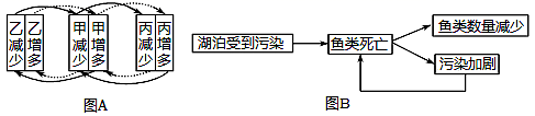 图片_x0020_780129804