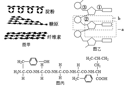 图片_x0020_302358314