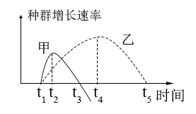 图片_x0020_338692006