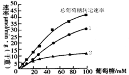 图片_x0020_2031291868