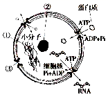 图片_x0020_1418637847