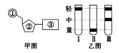 图片_x0020_100003