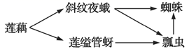 图片_x0020_100014