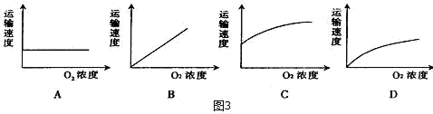 图片_x0020_100030