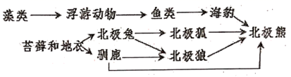图片_x0020_100010