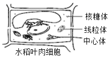 图片_x0020_100003