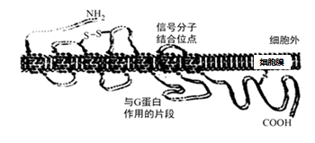 图片_x0020_100005