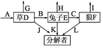 图片_x0020_100012