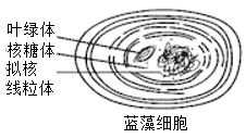 图片_x0020_100002