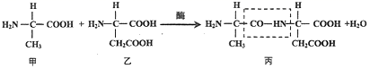 图片_x0020_100001