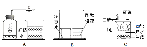 图片_x0020_100026