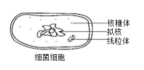 图片_x0020_100001