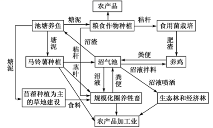 图片_x0020_100014