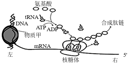 图片_x0020_1959231953