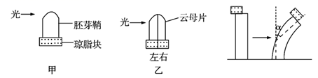 图片_x0020_100011