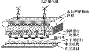 图片_x0020_100012