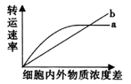 图片_x0020_100001